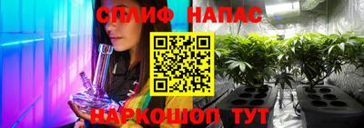 метадон Кингисепп