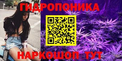мет Кимры