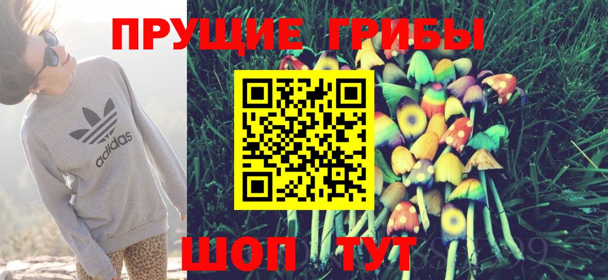 Галлюциногенные грибы GOLDEN TEACHER Костомукша
