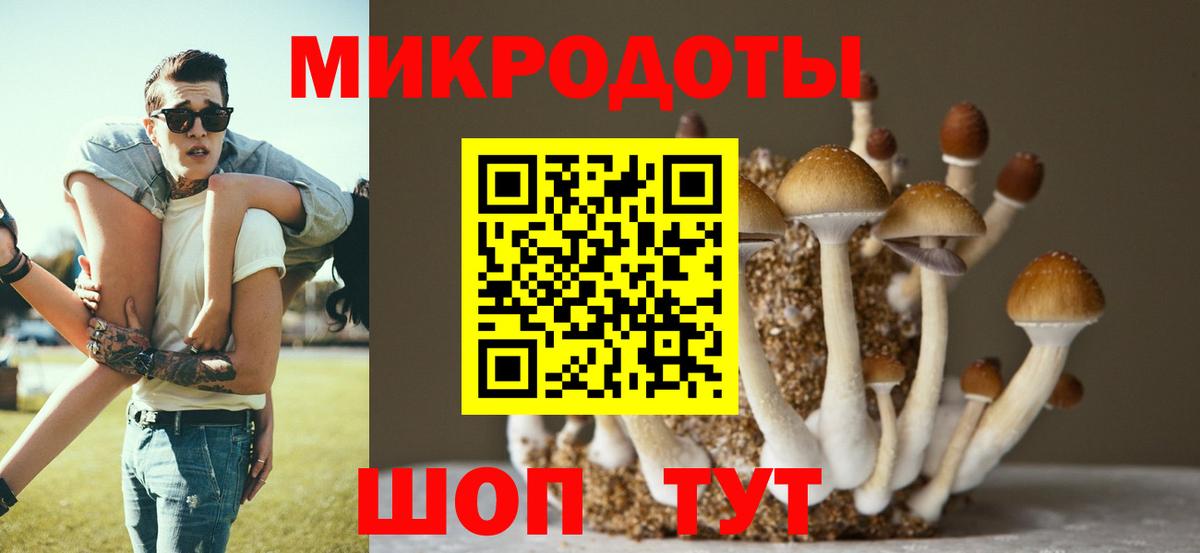 Галлюциногенные грибы мицелий  Вход с VPN  Костомукша  как найти   Галлюциногенные грибы мухоморы 